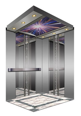  Passenger Elevator (Luxury Model) (Personenaufzug (Luxus-Modell))