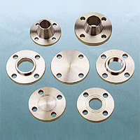  Flange (Bride)