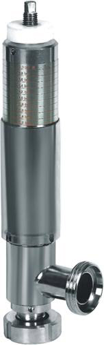  Safety Valve ( Safety Valve)