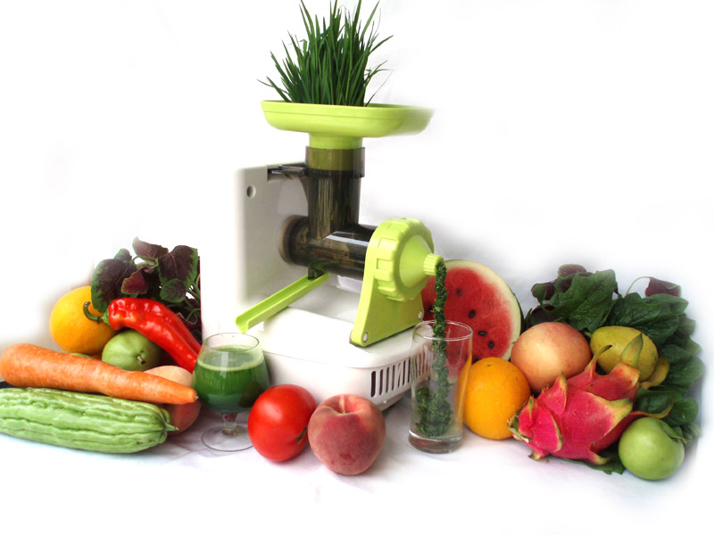  Wheat Grass Juicer (Житняк Соковыжималка)