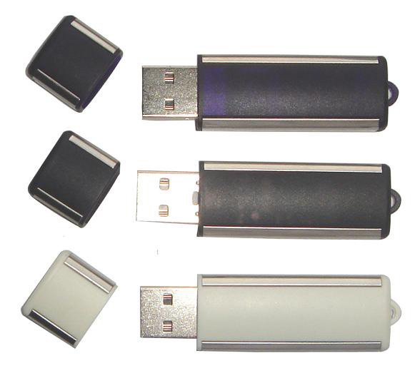  USB Flash Disks (Clés USB)