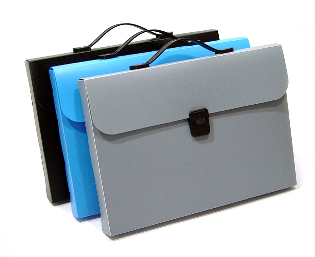  PP Document Case (PP-documents)