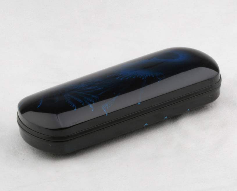  Plastic Eyeglasses Case (Plastic Eyeglasses Case)