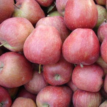 Red Star Apple (Red Star Apple)
