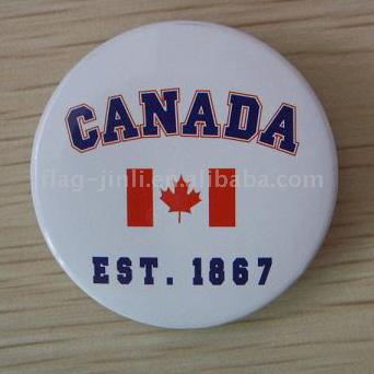  Pin ( Pin)