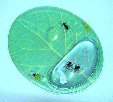  Liquid Mouse Pad ( Liquid Mouse Pad)