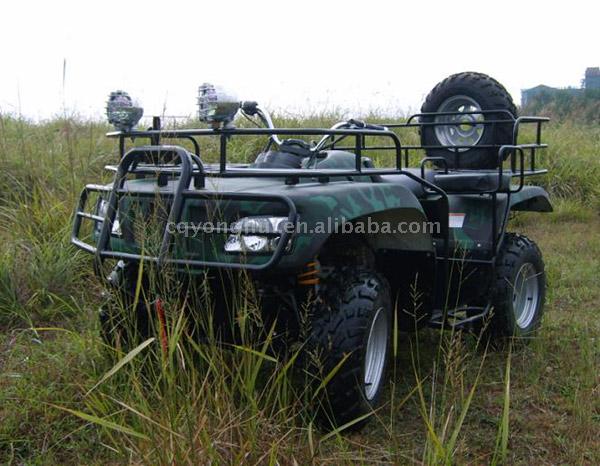 800cc 4 x 4 ATV with Winch ( 800cc 4 x 4 ATV with Winch)