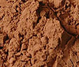  Brown Red ( Brown Red)