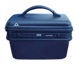  ABS Beauty Case ( ABS Beauty Case)