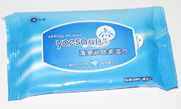 Cleaning Wipes (Cleaning Wipes)