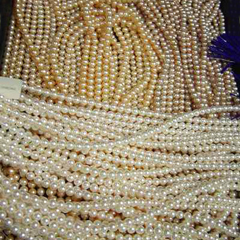  Fresh Water Pearl Strand ( Fresh Water Pearl Strand)