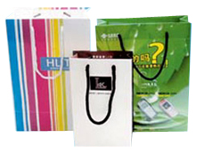 Shopping Bag ( Shopping Bag)
