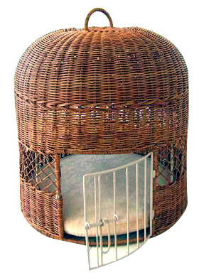  Cat House ( Cat House)