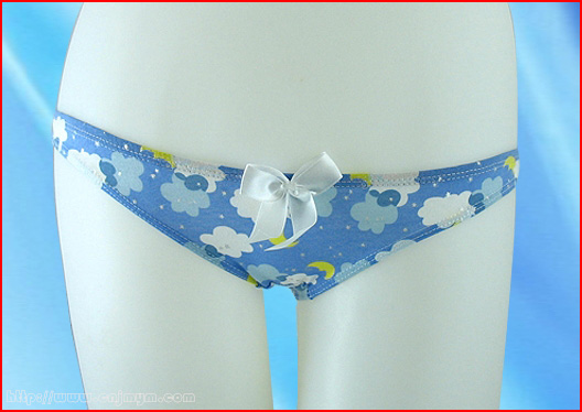  Girl`s Briefs (Girl`s Briefs)