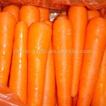  Carrots (Carottes)