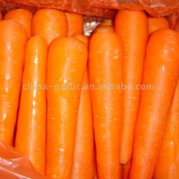  Carrots (Морковь)