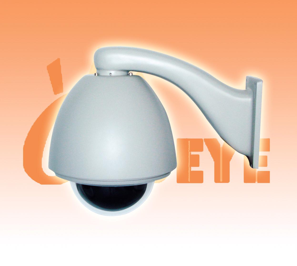  PTZ Speed Dome Camera ( PTZ Speed Dome Camera)