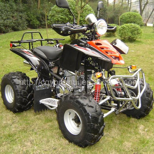  Discount EEC 250cc ATV ( Discount EEC 250cc ATV)
