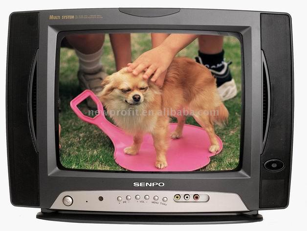  14" Color TV (14 "Télévision couleur)