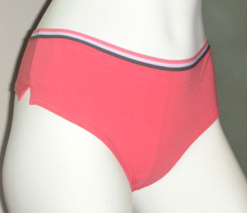  Ladies` Briefs