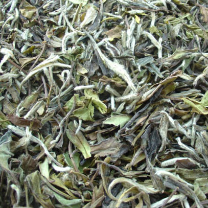  Bai Mu Dan (Bai Mu Dan)