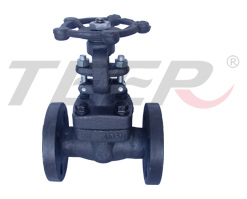  Forged Steel Gate Valve (Кованая сталь Задвижки)