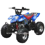 Polaris ATV 50cc Style (Polaris ATV 50cc Style)