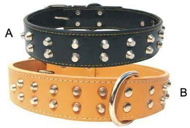  Dog Collar (Hundehalsband)