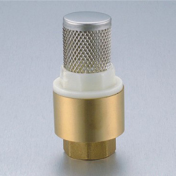  Brass Check Valve (Обратный клапан латунные)