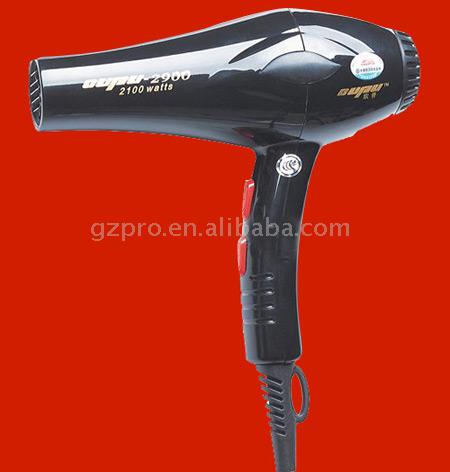  2900 Hair Dryer (2900 Föhn)