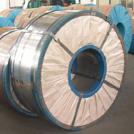  Tinning Steel Strip, Tinplate and Tinning Steel Coil ( Tinning Steel Strip, Tinplate and Tinning Steel Coil)