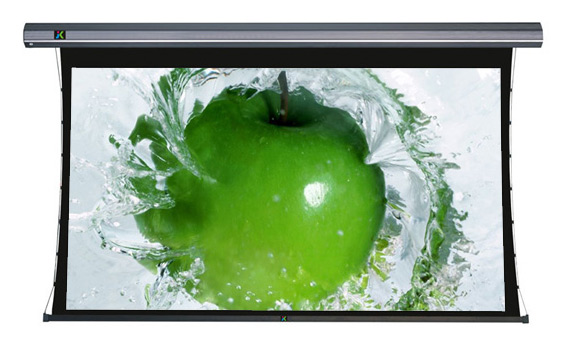  Tab-Tensioned Motorized Screen (Вкладка напряженных моторизованный экран)