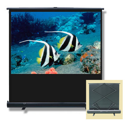  Business-Star Floor Pull-Up Screen (Бизнес-Star этаж тягово-экран)