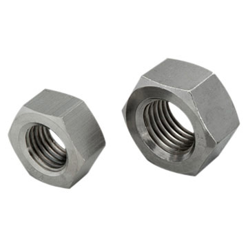  Stainless Steel Nut ( Stainless Steel Nut)