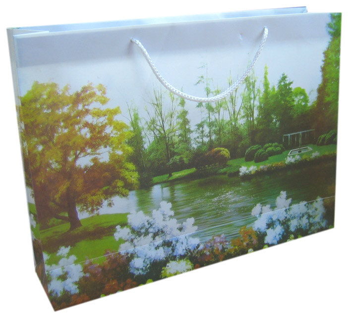 Horizontal Scenery Bag ( Horizontal Scenery Bag)