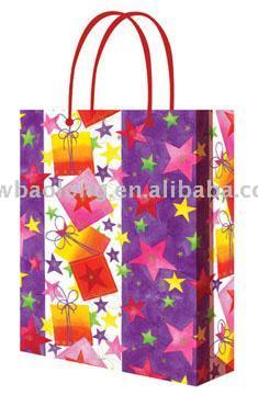  PP & Paper Shopping Bag (PP & Paper Shopping Bag)