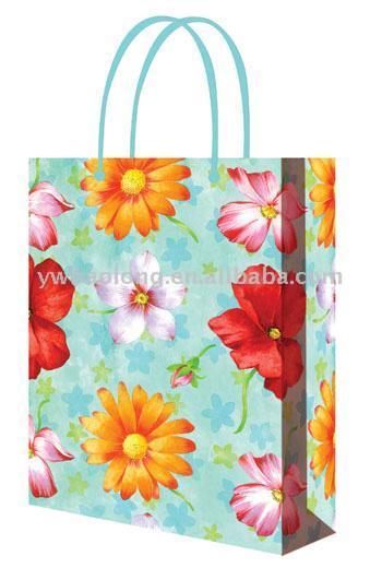  PP & Paper Shopping Bag (PP & Paper Shopping Bag)