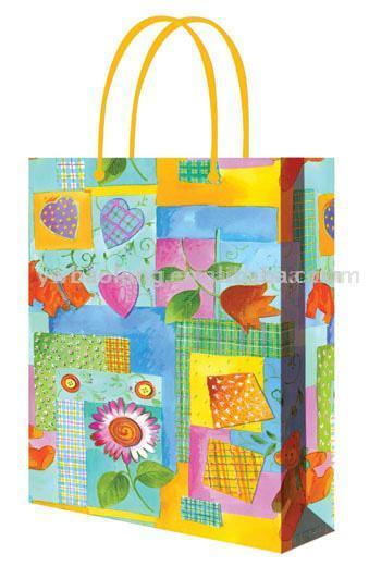  PP & Paper Shopping Bag (PP & Paper Shopping Bag)