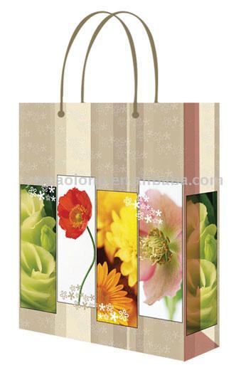  PP & Paper Shopping Bag (PP & Paper Shopping Bag)