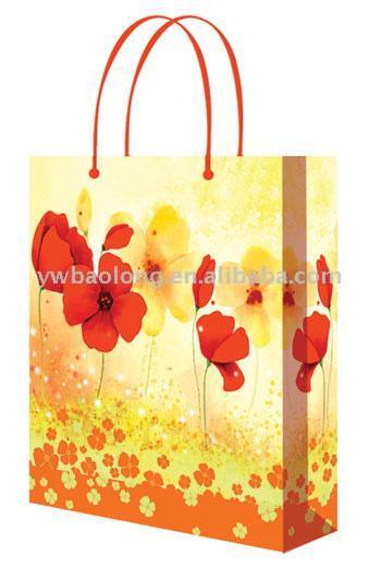  PP & Paper Shopping Bag (PP & Paper Shopping Bag)