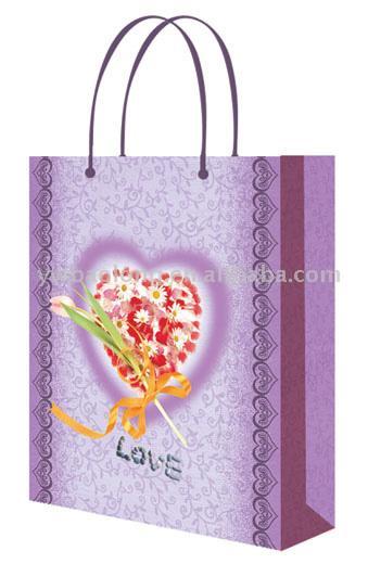  PP & Paper Shopping Bag (PP & Paper Shopping Bag)