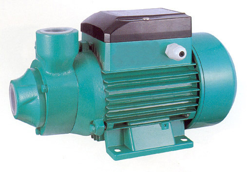  Peripheral Pump (Периферийное насоса)