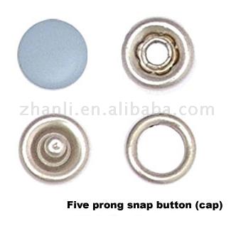  Snap Button (Snap кнопки)