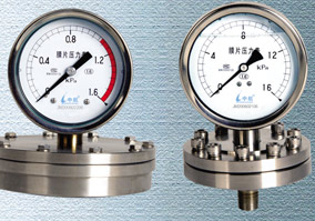  Diaphragm Pressure Gauge ( Diaphragm Pressure Gauge)
