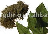  Dehydrated Spinach Flake/Granule/Powder
