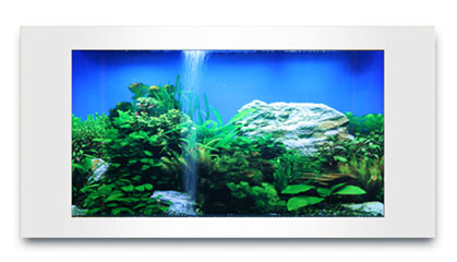  ABS New Product ( ABS New Product)