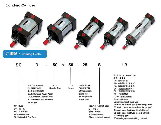  Standard Cylinder ( Standard Cylinder)