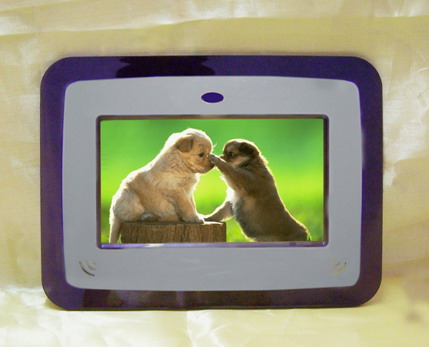 Digital Photo Frame (Digital Photo Frame)