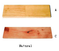 Red Birch-F / J Bodenbeläge (Red Birch-F / J Bodenbeläge)