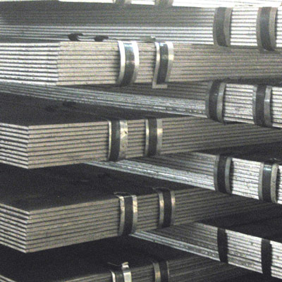  Hot Rolled Steel Plate (Tôles d`acier laminées à chaud)